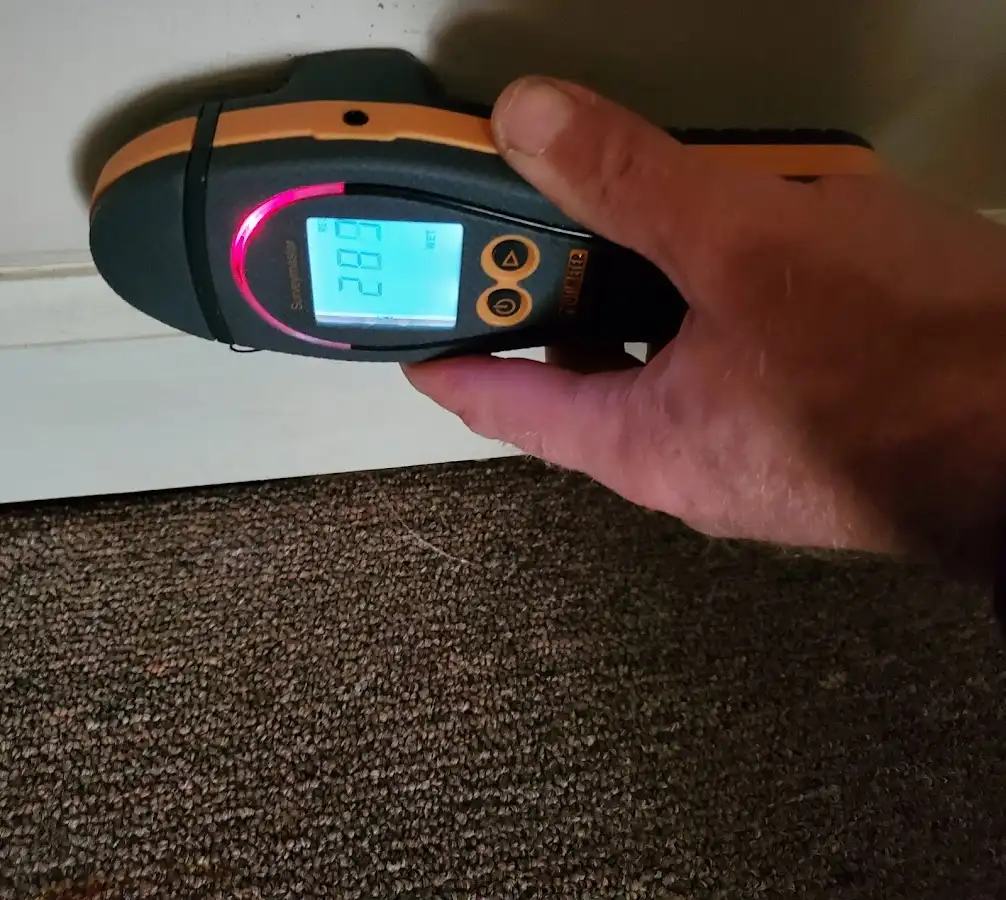 Moisture detection at baseboard during Burst Pipe Cleanup in Cuero
